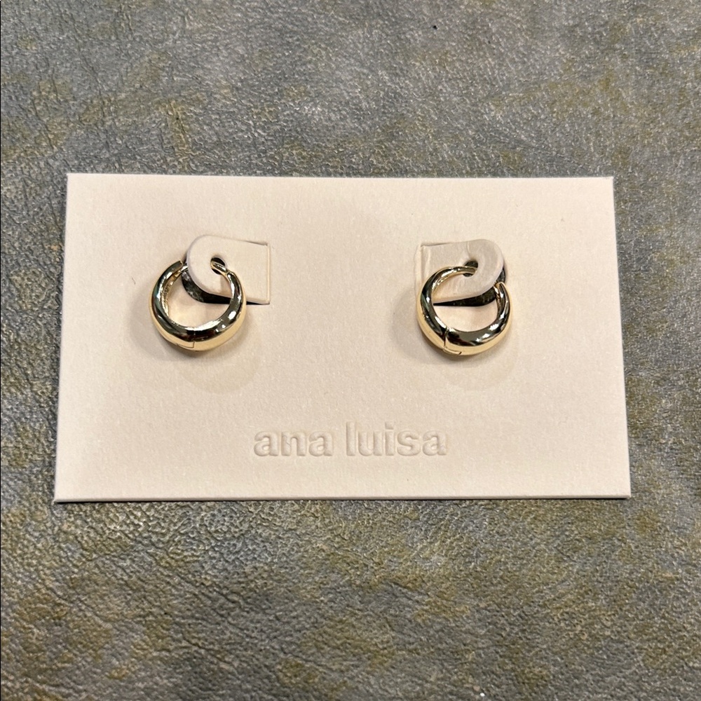 Ana Luisa Nate Medium Small Gold Hoop Earrings